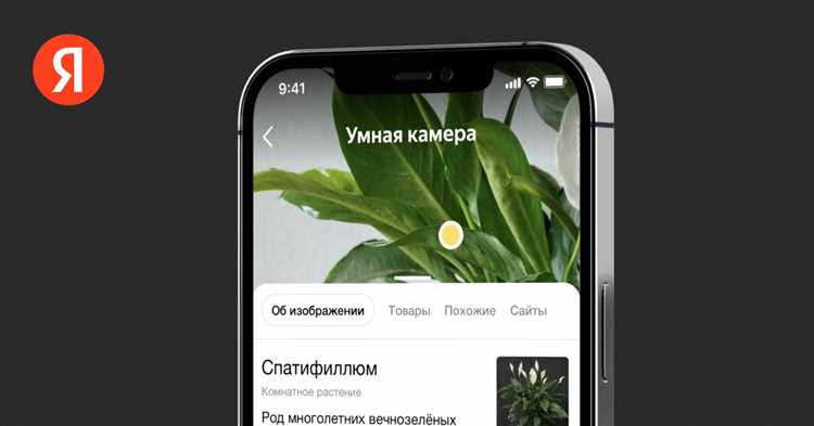 Умная камера от Яндекс: новейшие возможности